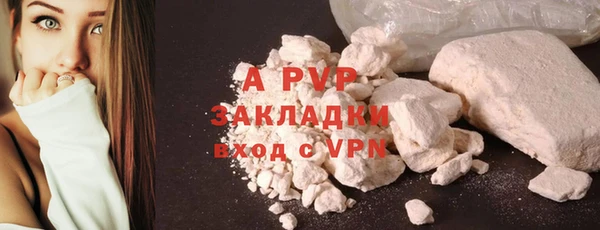 ECSTASY Белокуриха