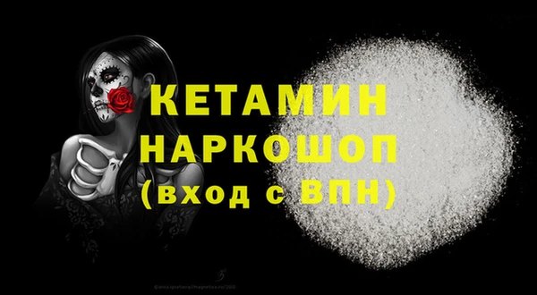 прущие грибы Беломорск