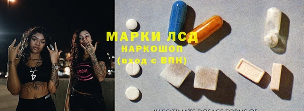 прущие грибы Беломорск