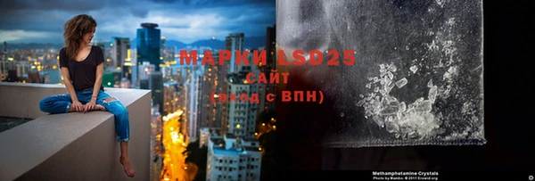 прущие грибы Беломорск