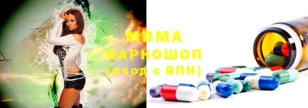 прущие грибы Беломорск