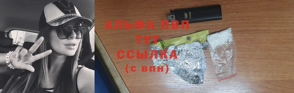 ECSTASY Белокуриха