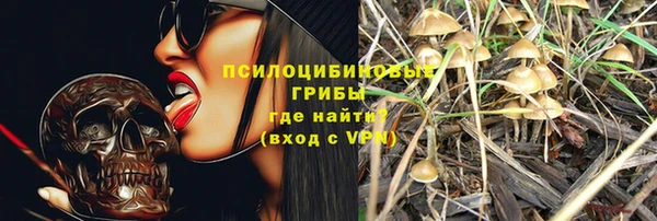 ПСИЛОЦИБИНОВЫЕ ГРИБЫ Баксан