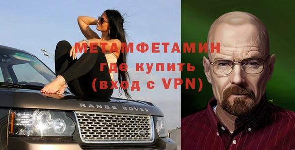 прущие грибы Беломорск