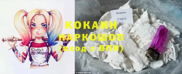 ECSTASY Белокуриха