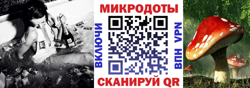 MEGA ссылка  даркнет наркотические препараты  Галлюциногенные грибы прущие грибы  Первомайск 